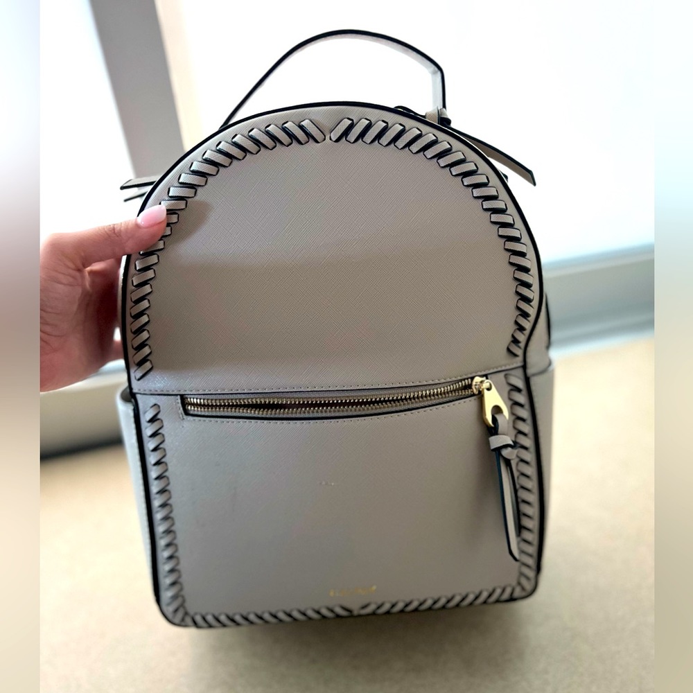 Calpak backpack